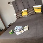 호텔 Bologna 2*